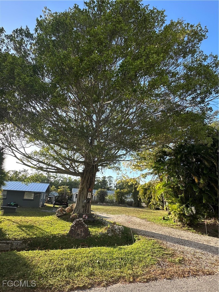 19856 Adams Road Fort Myers, FL 33908 - Photo 5 of 8 a view of a yard with large trees