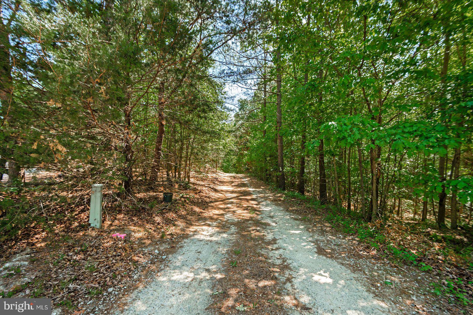 11024 Ladysmith Road Ruther Glen, VA 22546 - Photo 34 of 34 Driveway