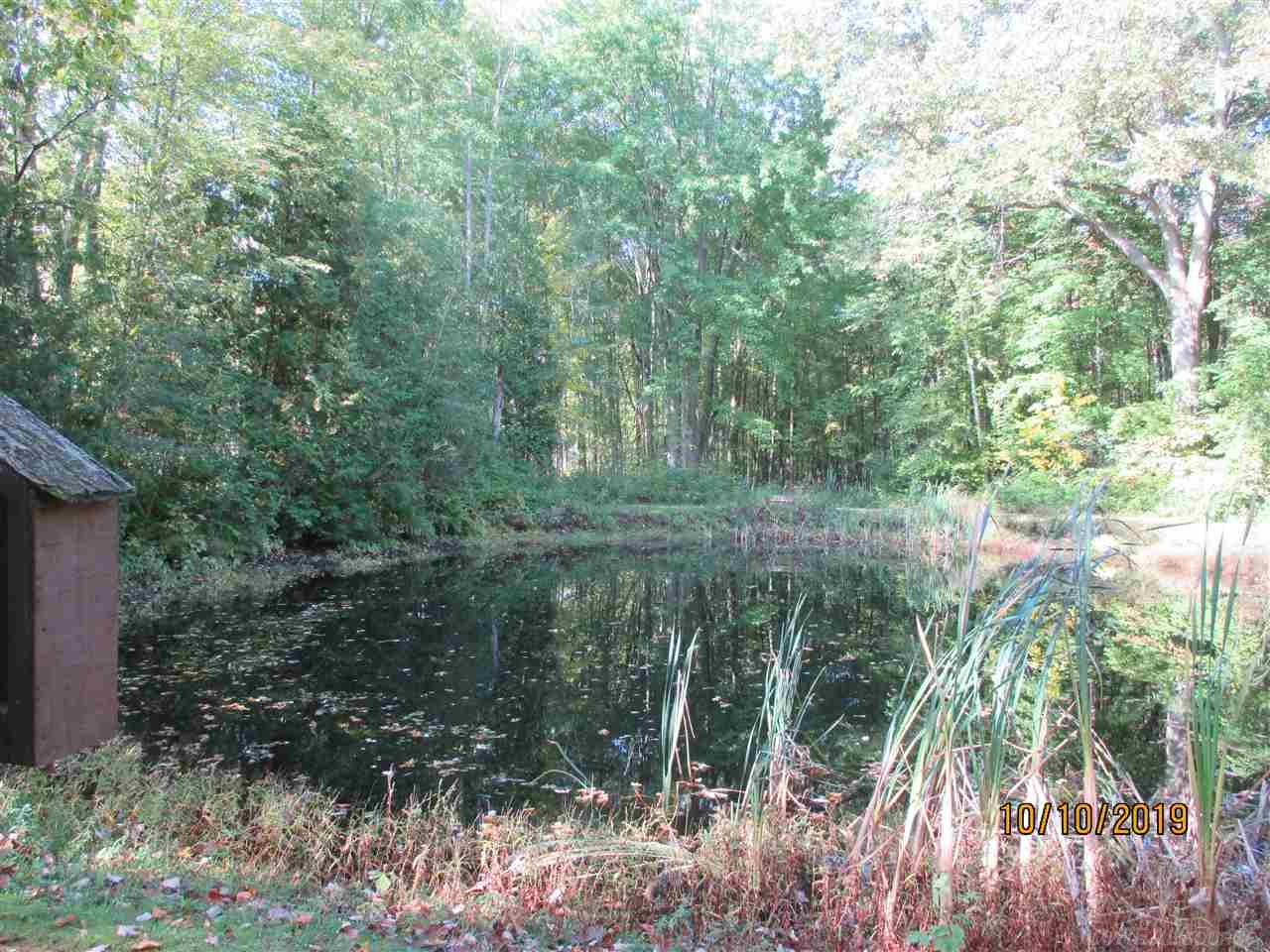 7080 Rynn Road North Street, MI 48049 - Photo 26 of 31