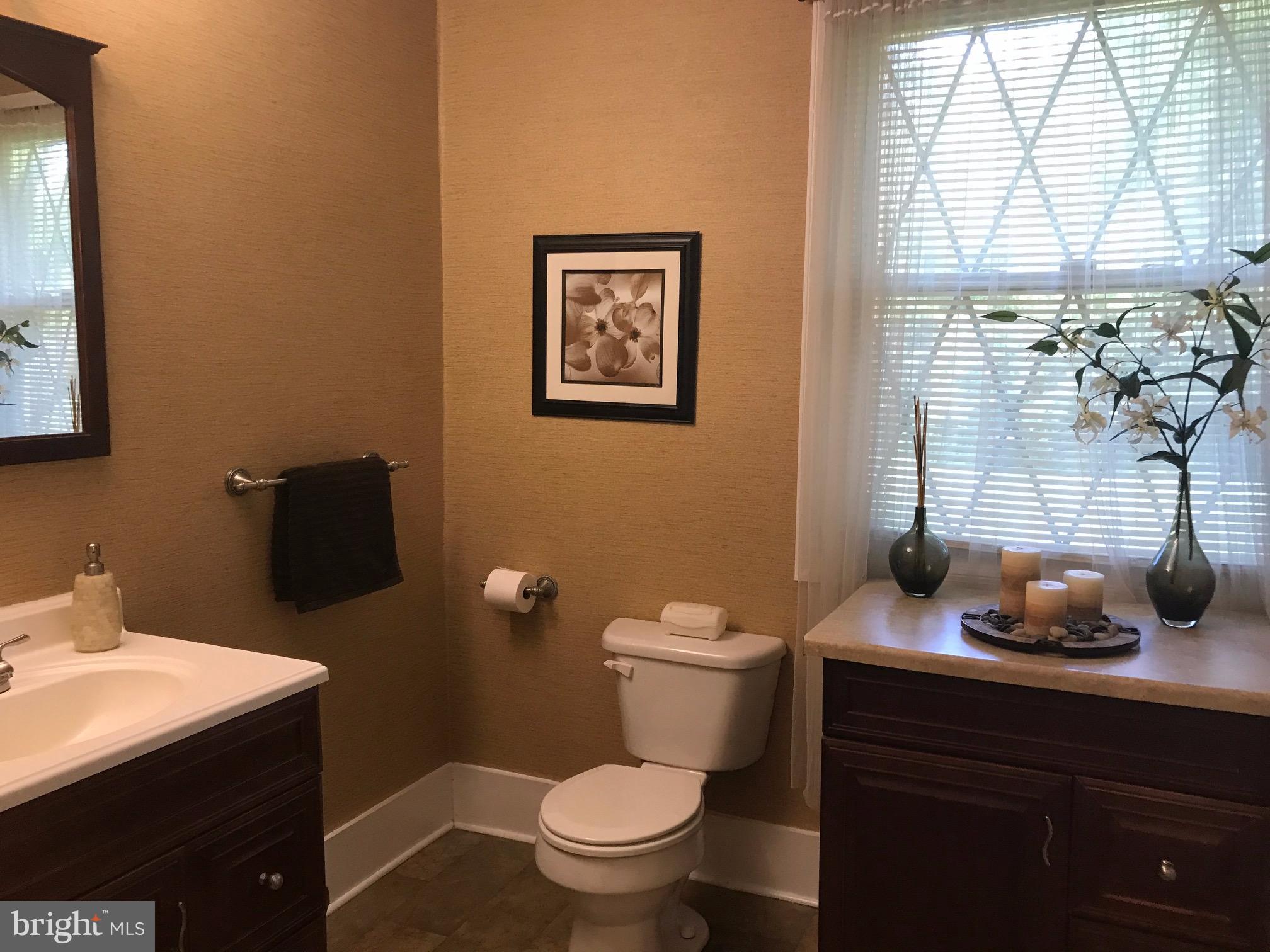 26199 Mead Road Federalsburg, MD 21632 - Photo 13 of 29 Bath