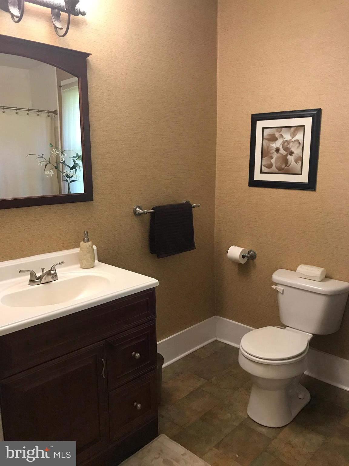 26199 Mead Road Federalsburg, MD 21632 - Photo 14 of 29 Bath