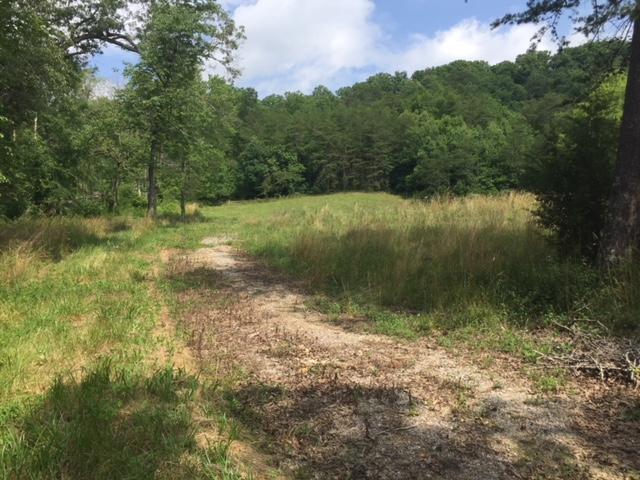 265 Bull Run Road Luttrell, TN 37779 - Photo 8 of 13 IMG_0928 (2)