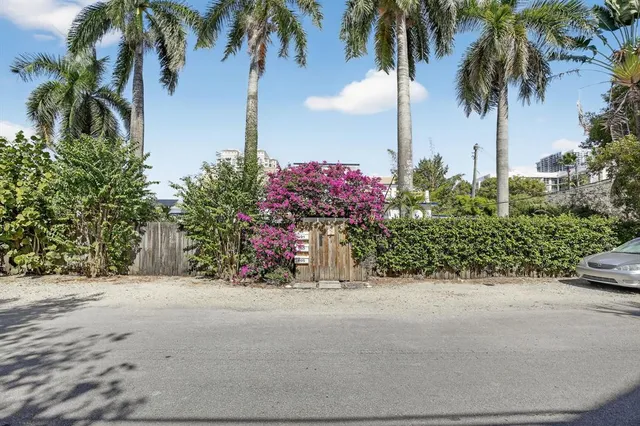 a view of a street with a palm trees