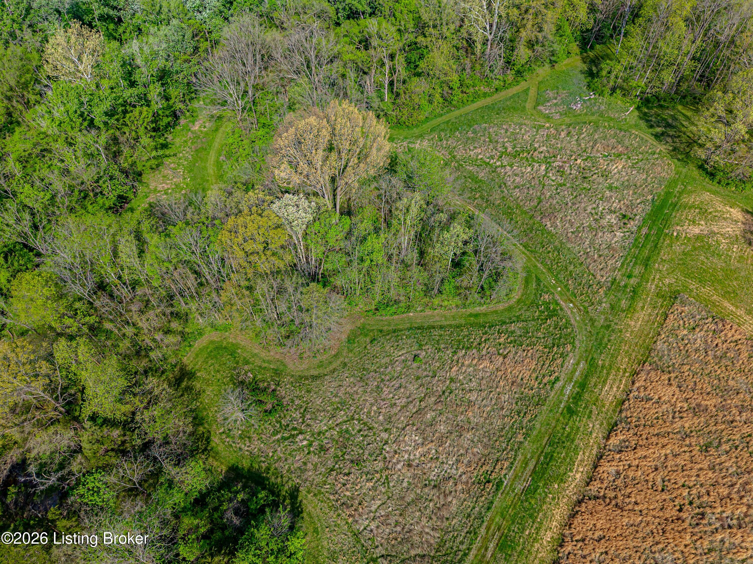 2010 Beech Grv Road Shepherdsville, KY 40165 - Photo 61 of 82 DJI_20260414223859_0263_D