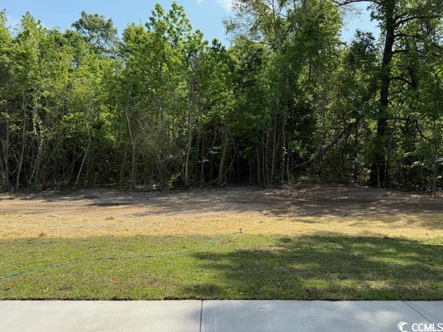3162 Wayside Road Conway, SC 29527 - Photo 15 of 16 Gallery Image 15
