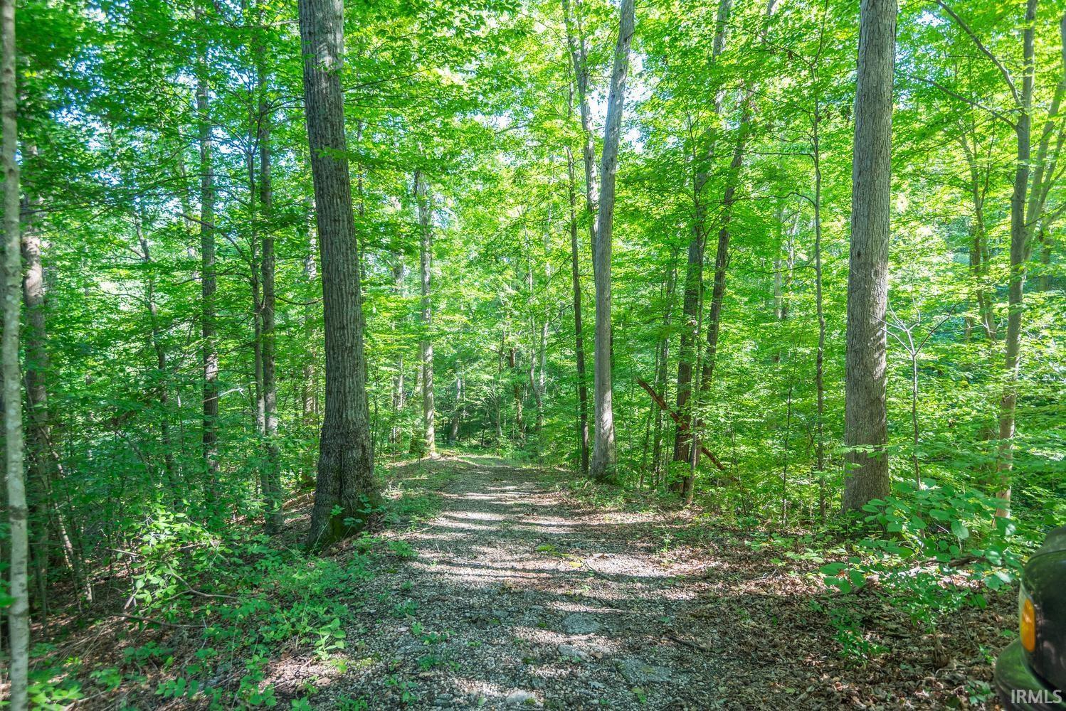 2151 East Mel Currie Road Bloomington, IN 47408 - Photo 22 of 28 Gallery Image 22