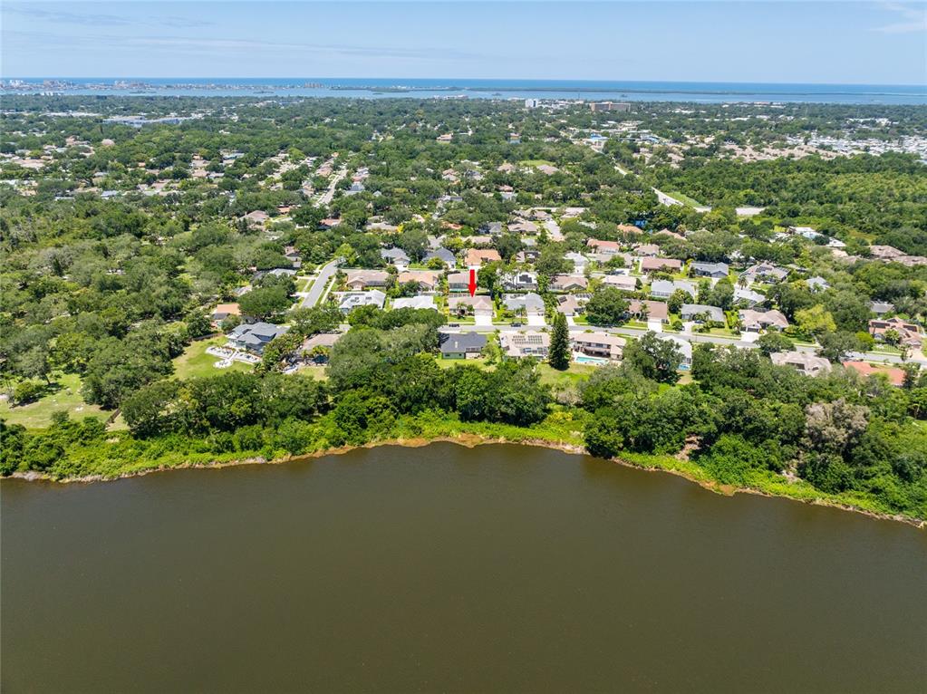 690 Weathersfield Drive Dunedin, FL 34698 - Photo 58 of 58