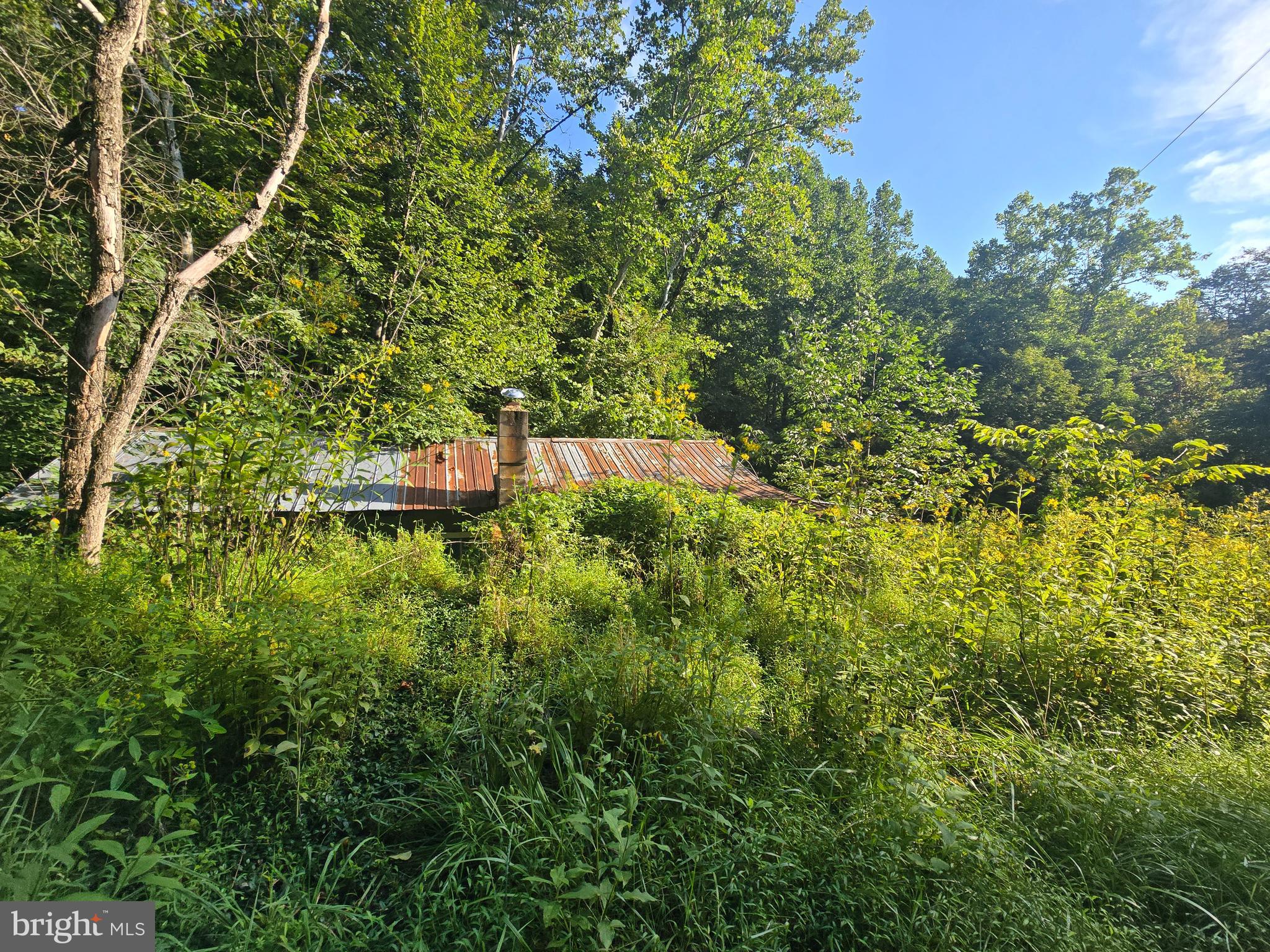 500 Upper Timber Ridge Road Circleville, WV 26804 - Photo 6 of 9 Gallery Image 6