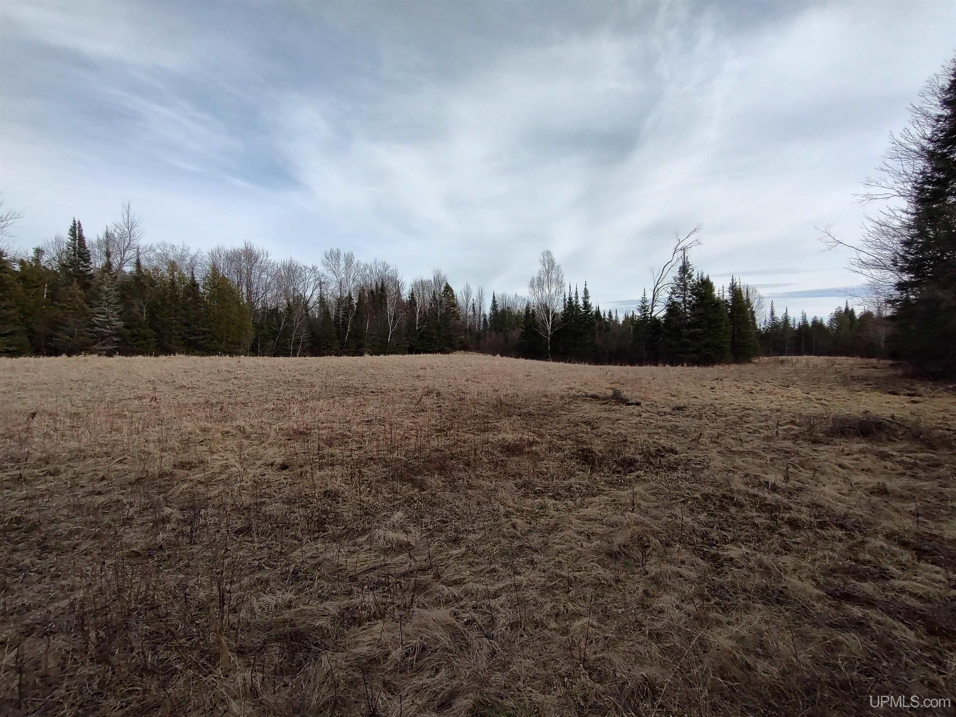 40-acres Trombley 35th Road Rock, MI 49880 - Photo 23 of 62