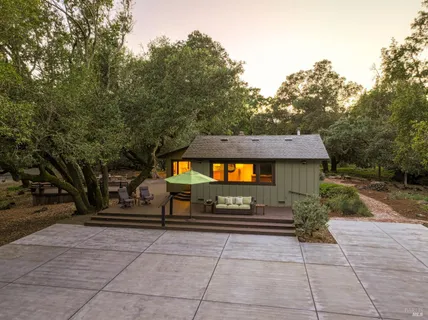 a view of a yard with plants and large trees