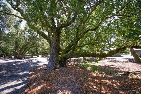 $2,995,000 | 2120 Grove Street, Sonoma, CA 95476