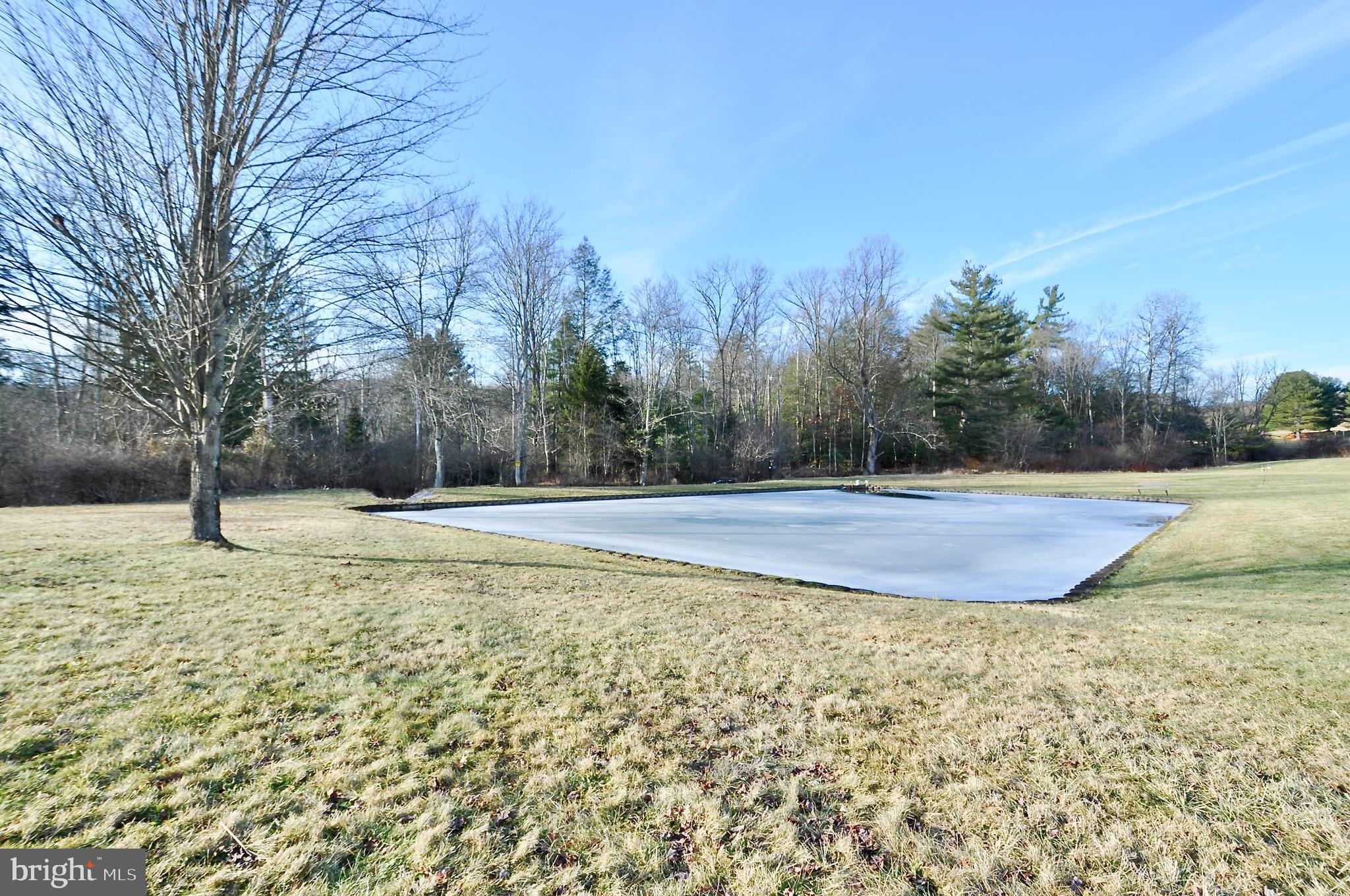 13370 South Eagle Valley Road Tyrone, PA 16686 - Photo 37 of 43 a view of a yard with large trees