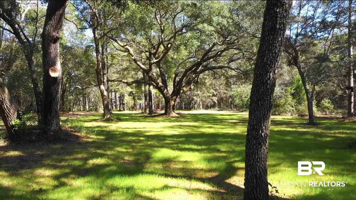0 Collins Lane Foley, AL 36535 - Photo 7 of 13