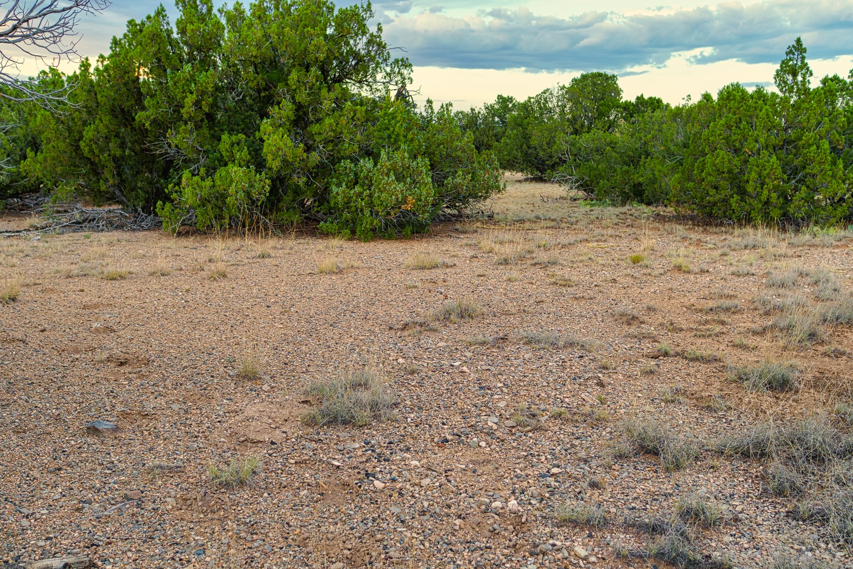 176 Wagon Trail Road Cerrillos, NM 87010 - Photo 12 of 35