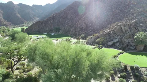 a view of a lush green forest with lots of trees