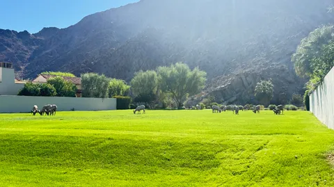 a view of a golf course with a field