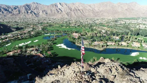 a view of a yard with plants