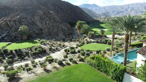 a view of a lush green field with lots of plants in it