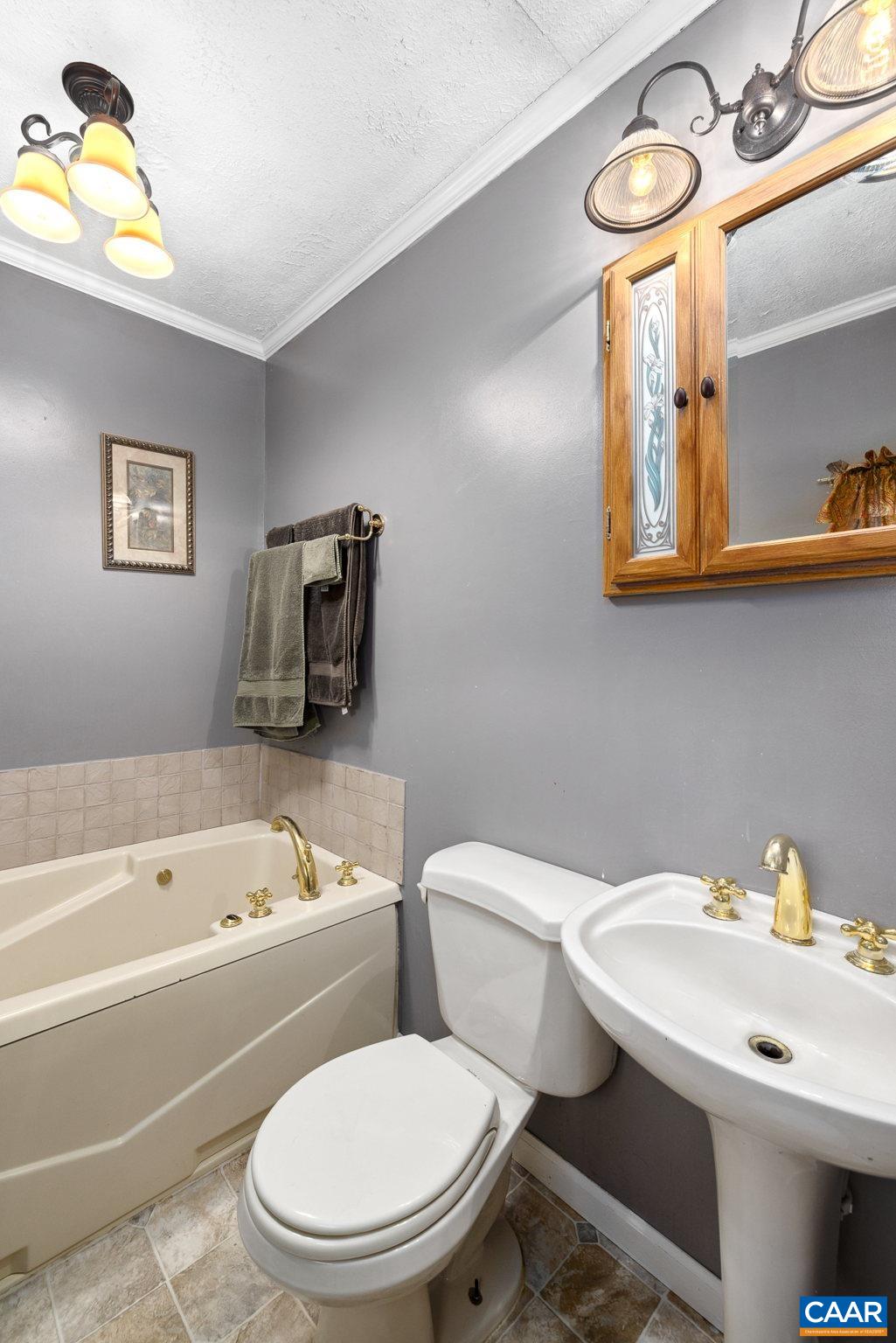 121 Cedar Grove Road Ruckersville, VA 22968 - Photo 20 of 43 a bathroom with a sink a mirror and a toilet