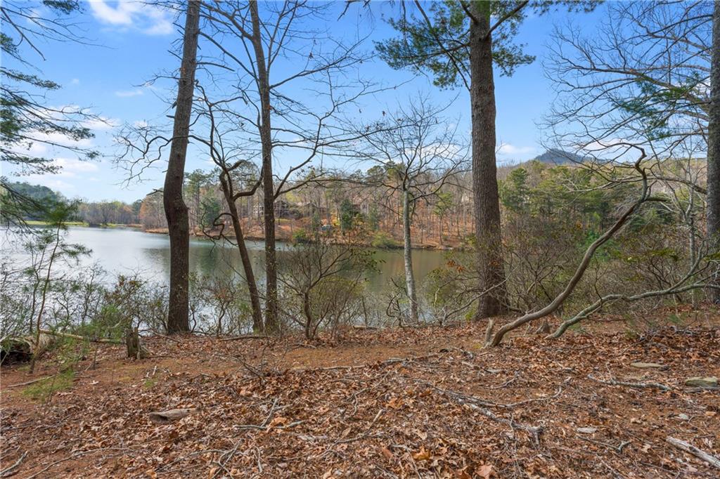 66 Tamarack Point Jasper, GA 30143 - Photo 73 of 102