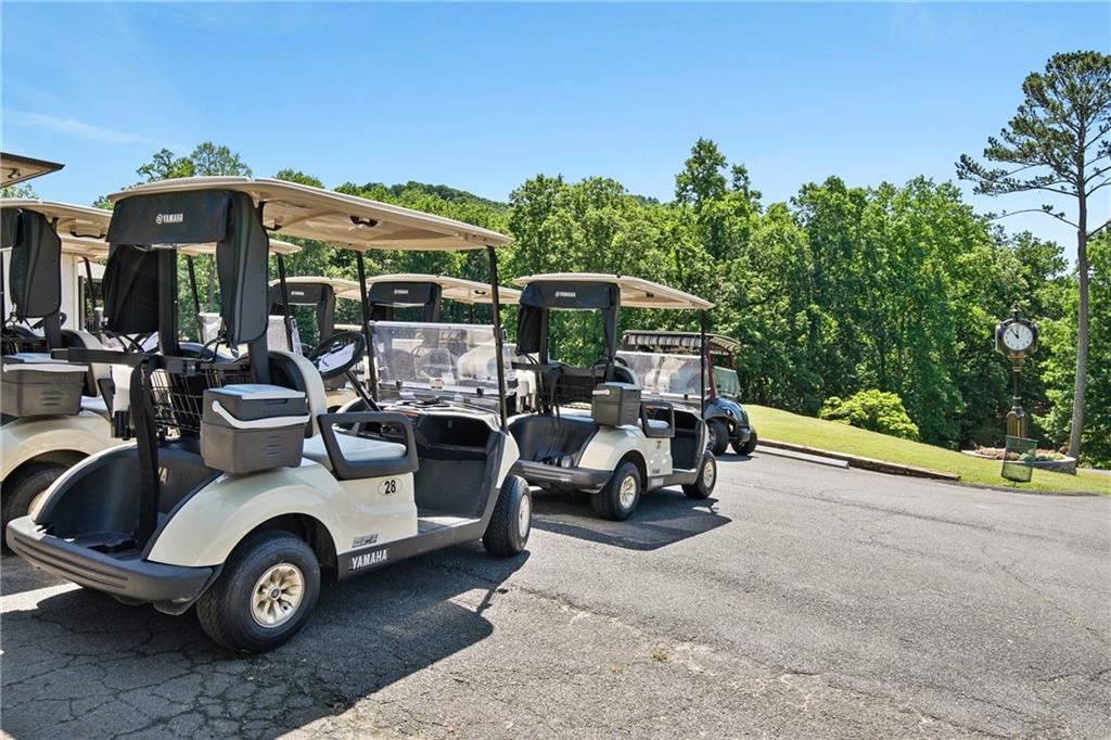 66 Tamarack Point Jasper, GA 30143 - Photo 77 of 102