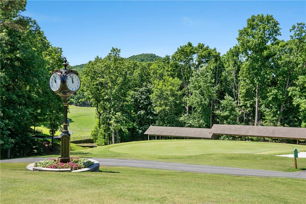 66 Tamarack Point Jasper, GA 30143 - Photo 79 of 102