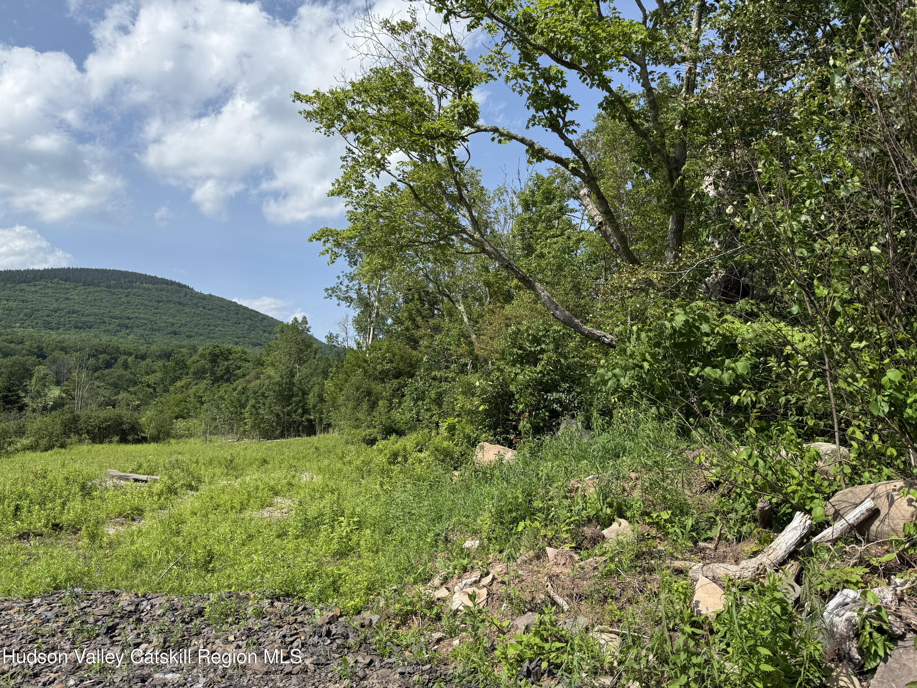 0 Mitchell Hollow Road Windham, NY 12496 - Photo 12 of 21 a view of a lush green forest with lawn chairs under a large tree