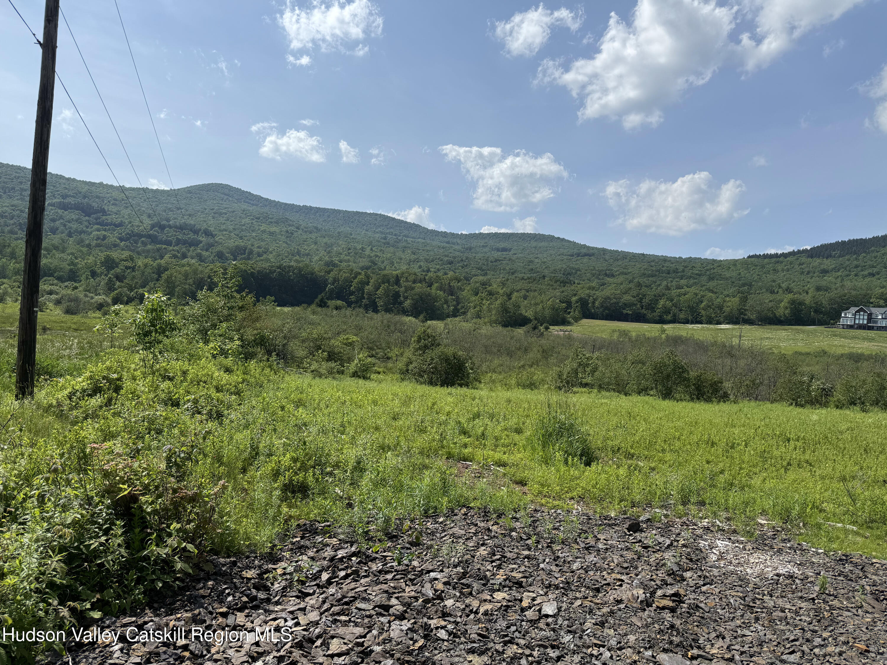 0 Mitchell Hollow Road Windham, NY 12496 - Photo 13 of 21 a view of mountain with green space