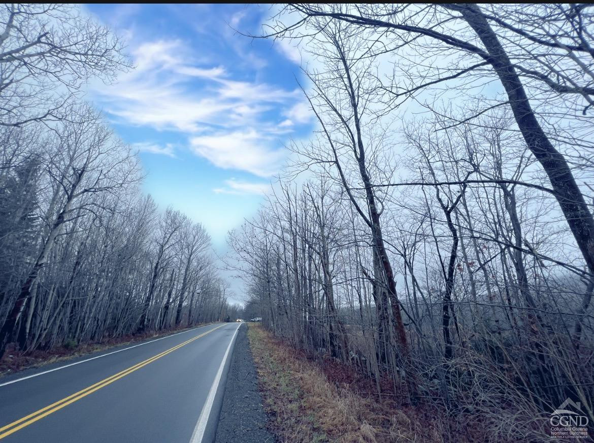 0 Mitchell Hollow Road Windham, NY 12496 - Photo 16 of 21 a view of a yard