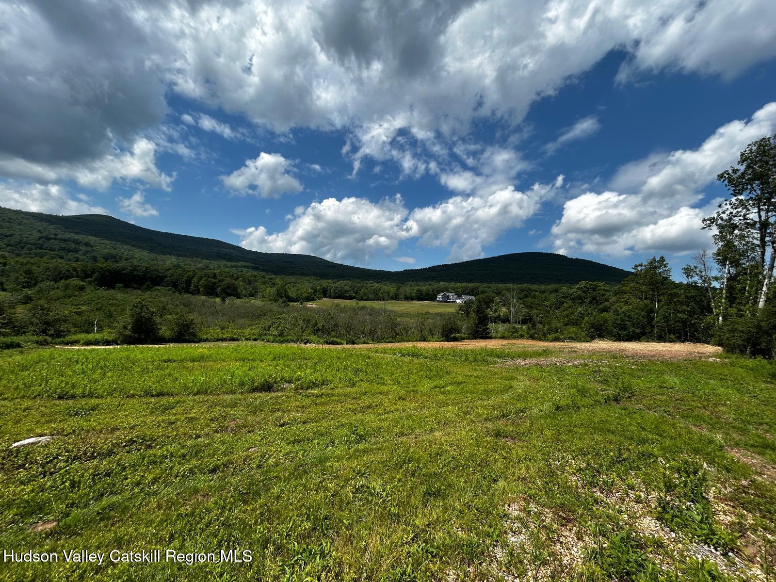 0 Mitchell Hollow Road Windham, NY 12496 - Photo 17 of 21 a view of an outdoor space and a yard
