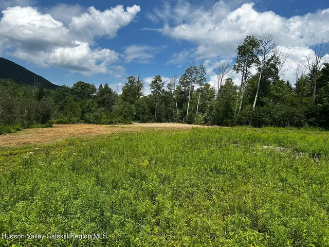 a view of a big yard with an outdoor seating and mountain view