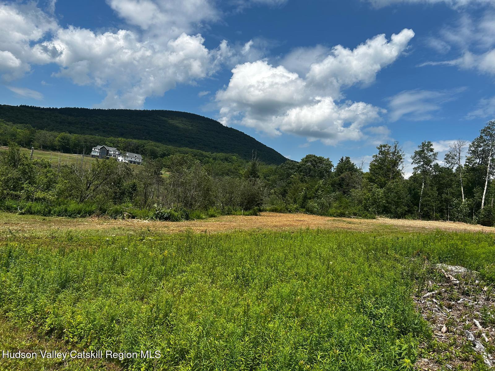0 Mitchell Hollow Road Windham, NY 12496 - Photo 20 of 21 a view of a big yard with an outdoor seating and mountain view