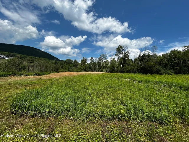 $99,000 | 0 Mitchell Hollow Road, Windham, NY 12496