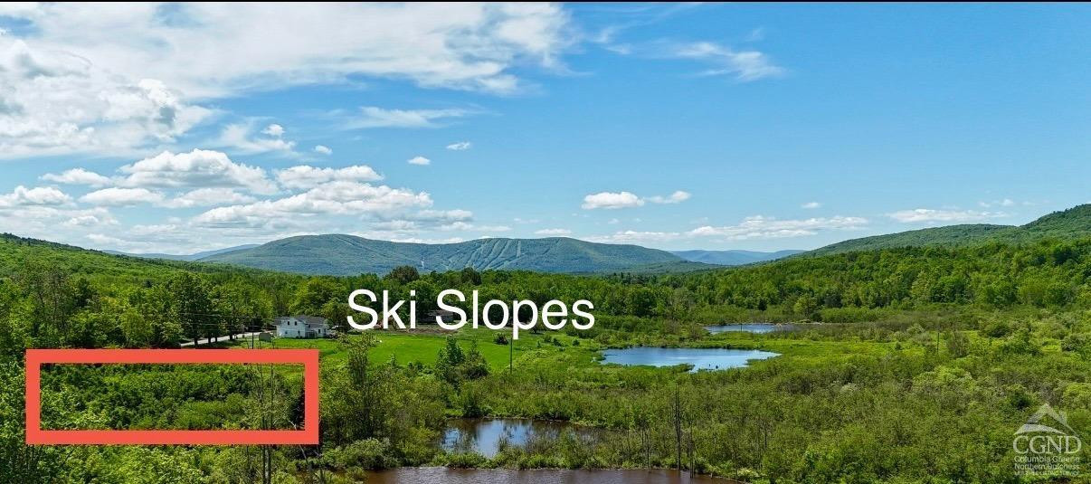 0 Mitchell Hollow Road Windham, NY 12496 - Photo 3 of 21 a view of a bunch of trees and sign board