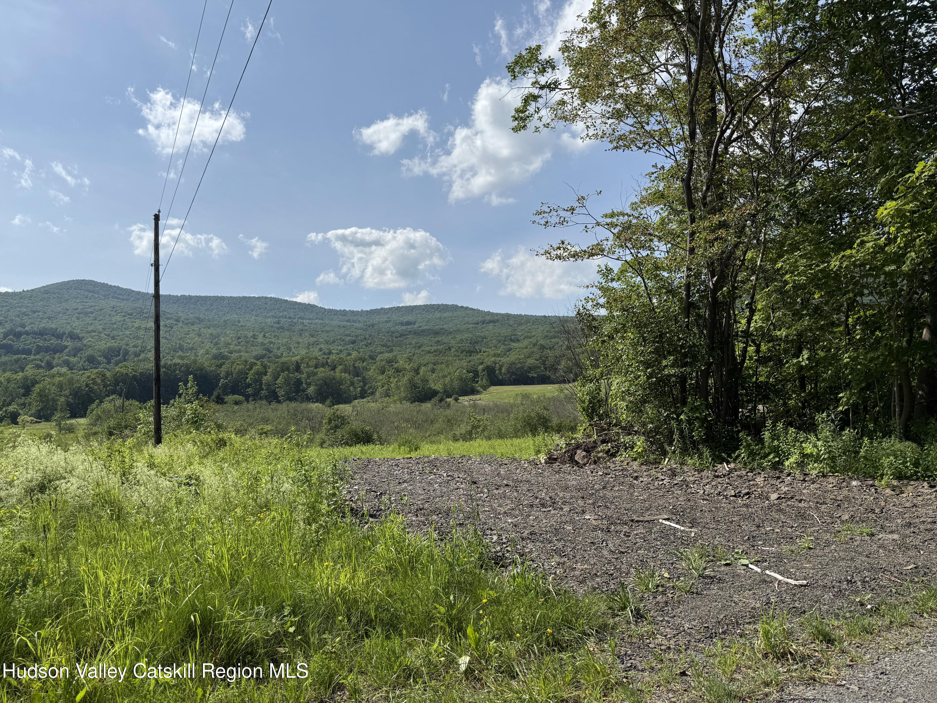 0 Mitchell Hollow Road Windham, NY 12496 - Photo 8 of 21 a view of a outdoor space