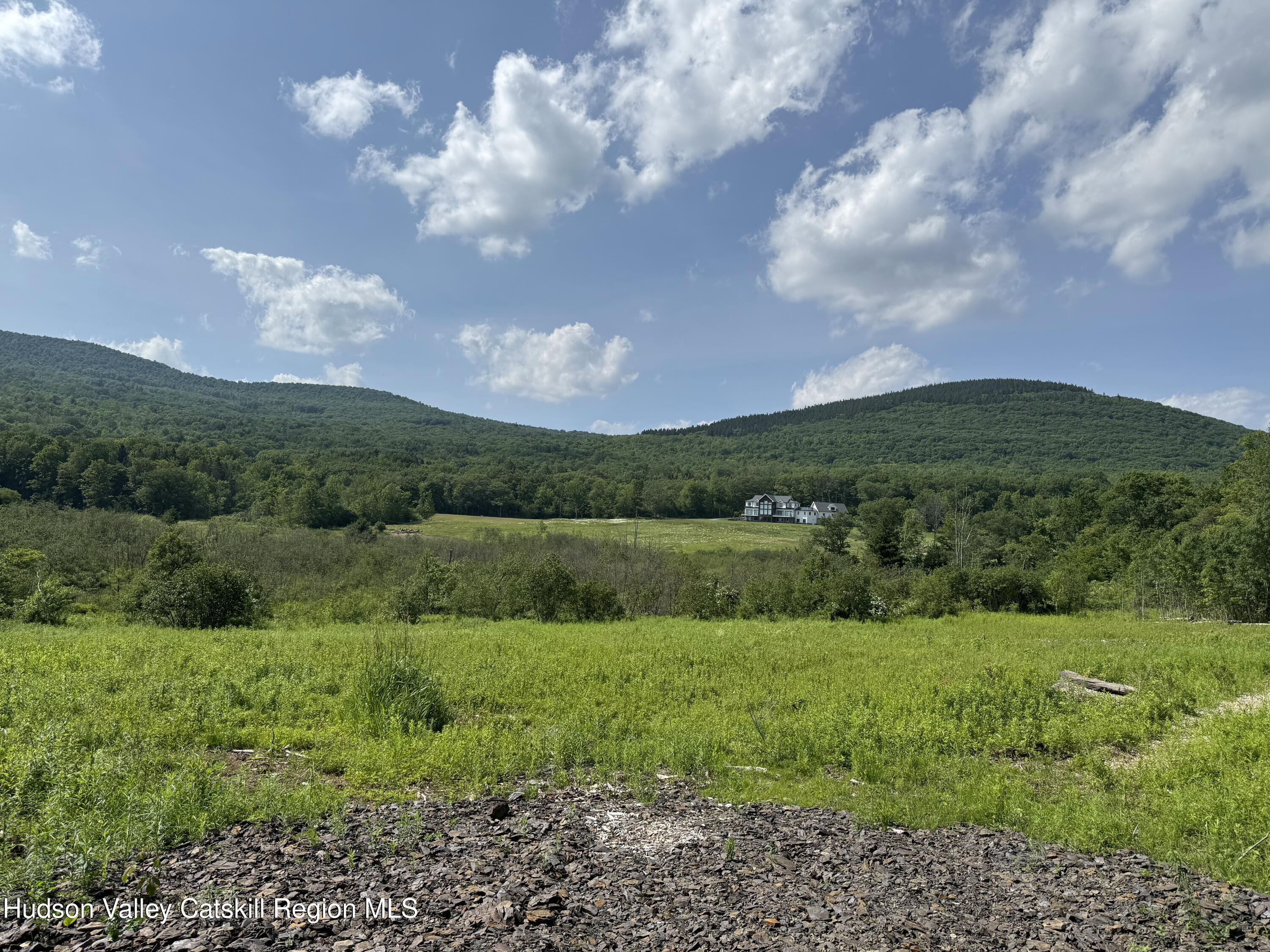 0 Mitchell Hollow Road Windham, NY 12496 - Photo 9 of 21 a view of a lake with a yard