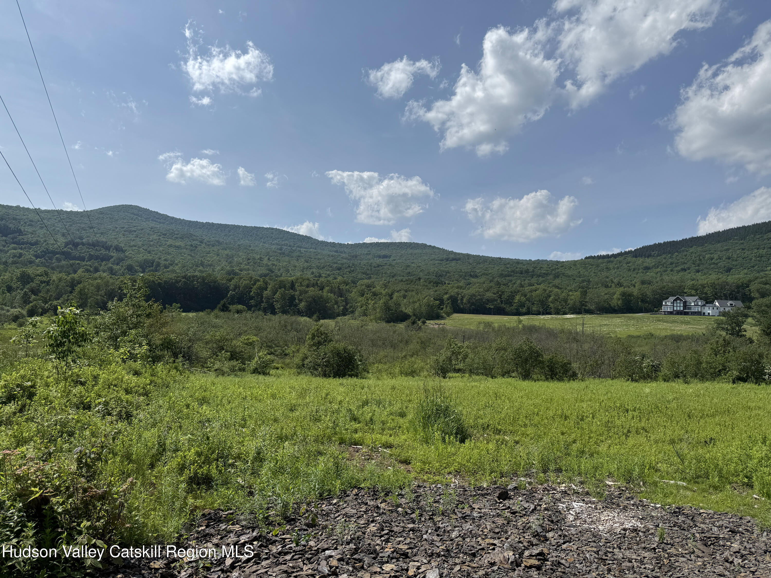 0 Mitchell Hollow Road Windham, NY 12496 - Photo 10 of 21 a view of a lake with green yard