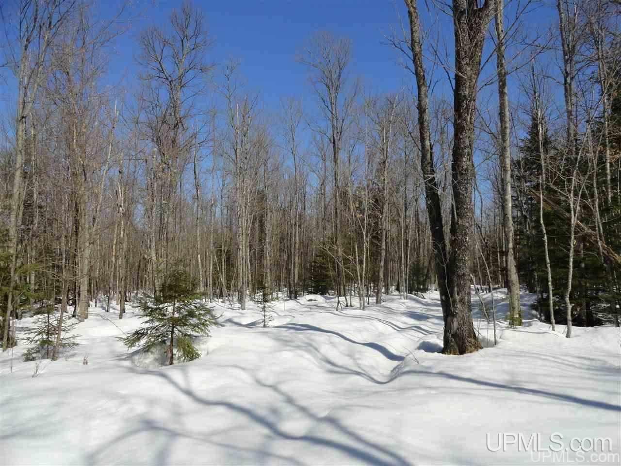 240-acres Leek Road Covington, MI 49919 - Photo 18 of 50