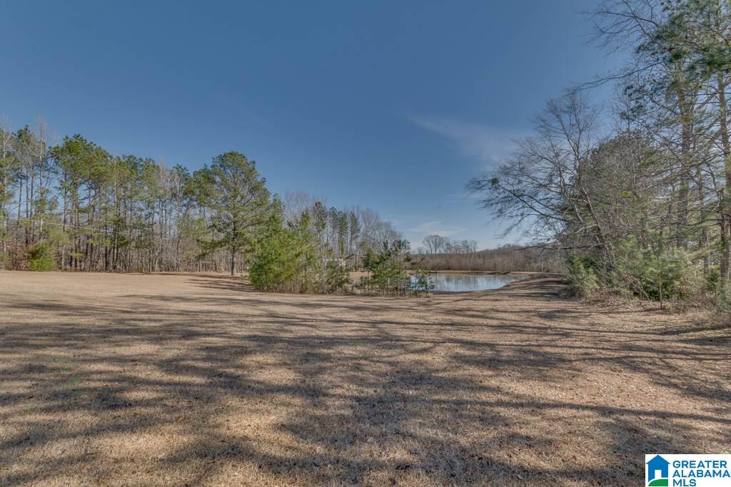 434 County Road 403 Clanton, AL 35045 - Photo 45 of 50