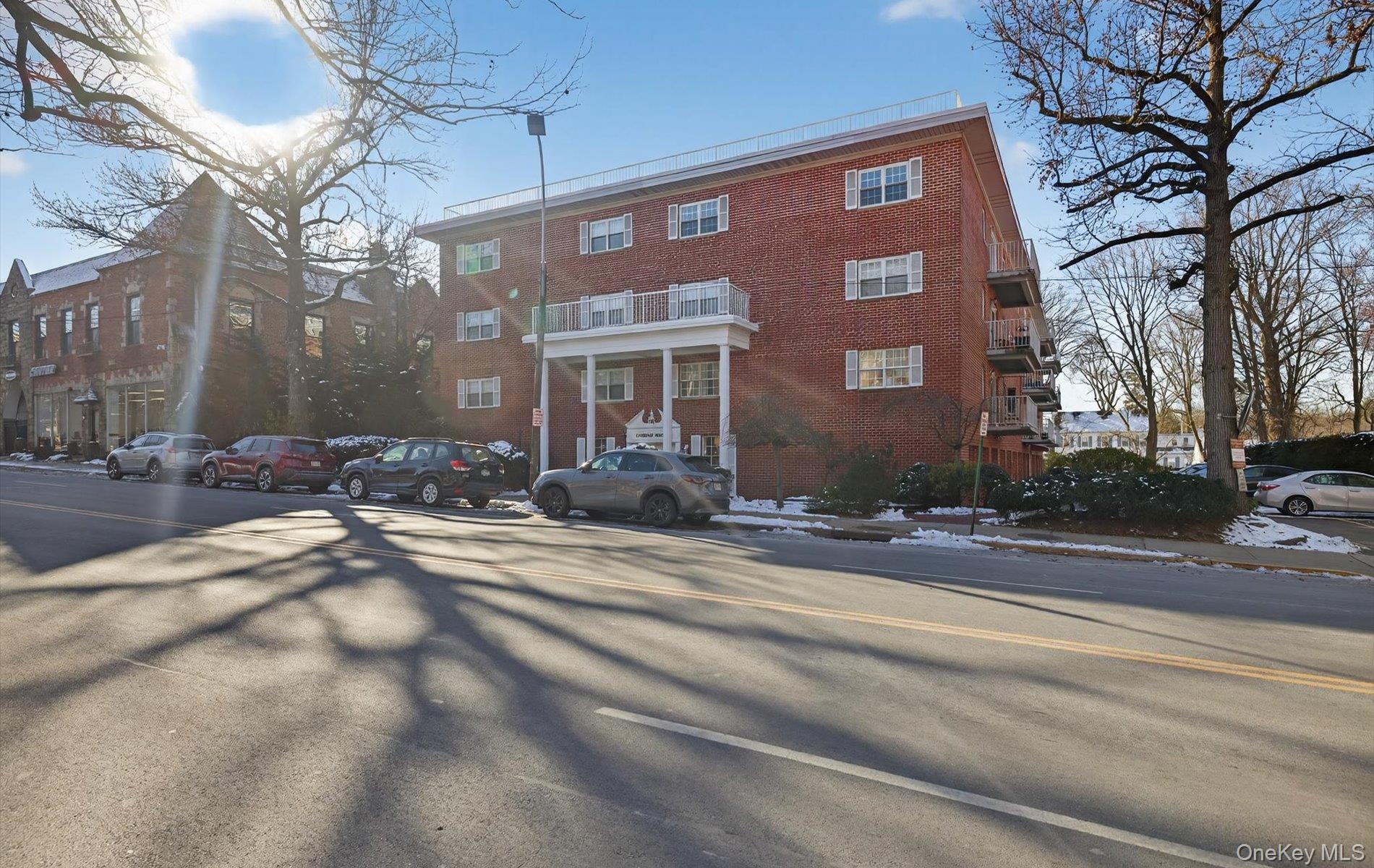 100 South Middle Neck Road, Unit 305 Great Neck, NY 11021 - Photo 35 of 45