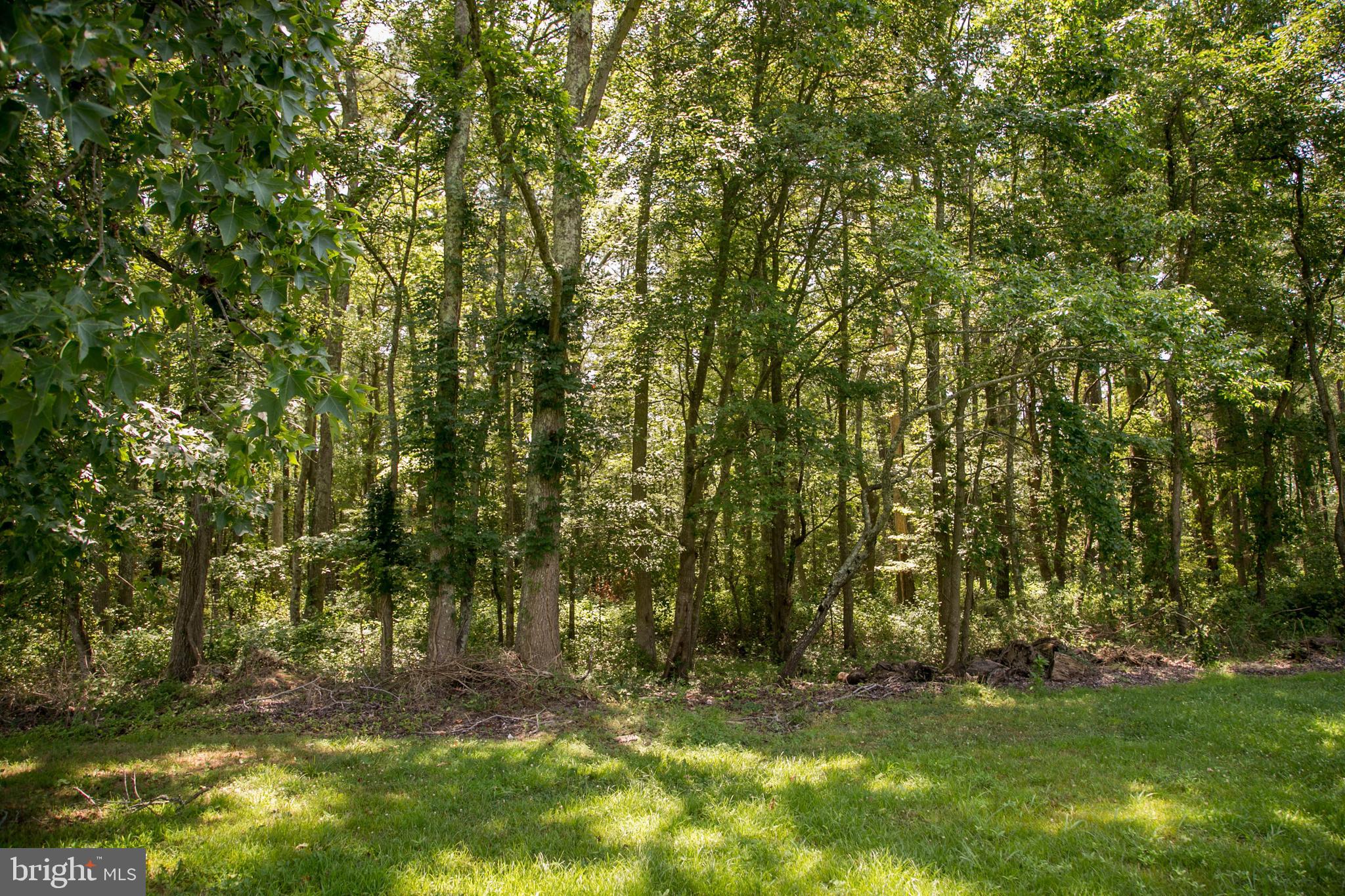 Mt Vernon Road Princess Anne, MD 21853 - Photo 1 of 3