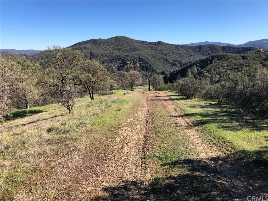 21356 State Highway 20 Clearlake Oaks, CA 95423 - Photo 12 of 13 a view of a backyard with mountain view