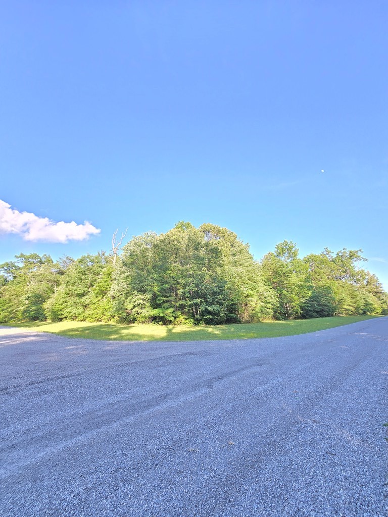 0 Laurel Loop North Monterey, TN 38574 - Photo 4 of 7