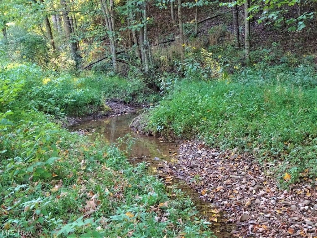 1709 Slab Fork Road Spencer, WV 25276 - Photo 23 of 35