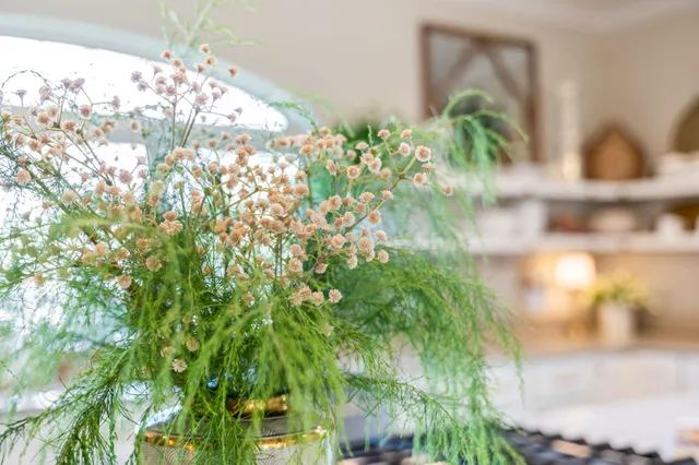 $1,200,000 | 215 Oglethorpe Boulevard, St. Augustine, FL 32080