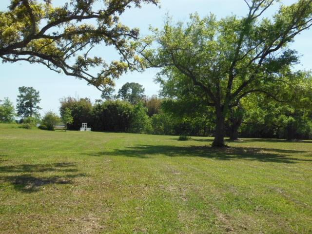 3316 Robinson Point Road Milton, FL 32583 - Photo 23 of 27 a view of outdoor space and yard