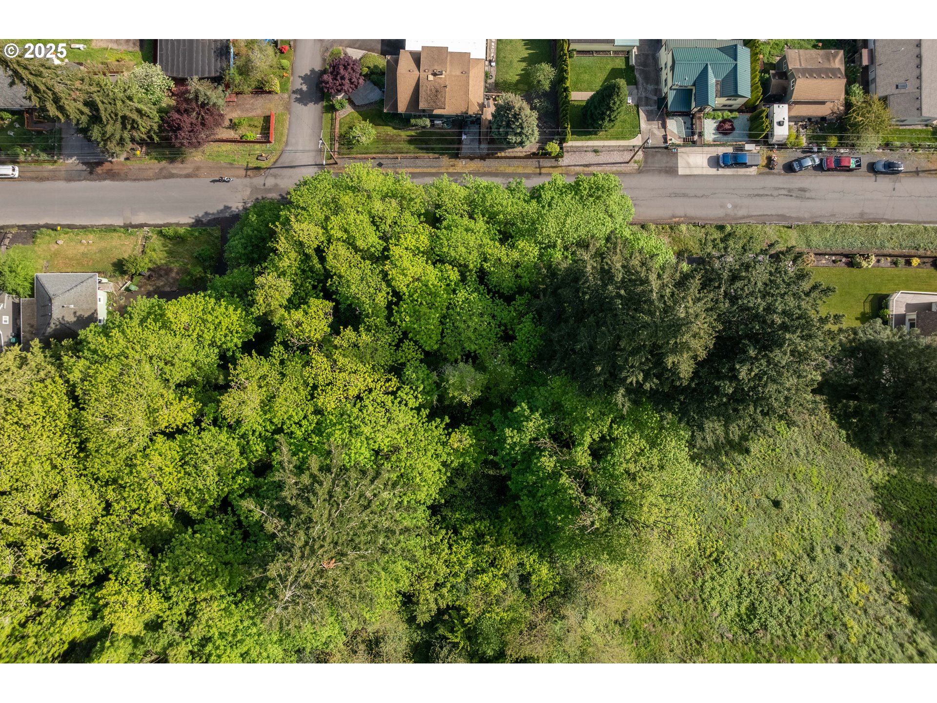 West C Street Rainier, OR 97048 - Photo 8 of 11