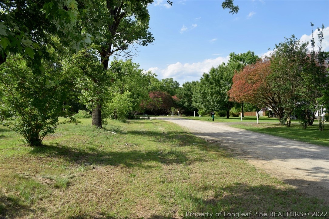 315 Falling Tree Road Fayetteville, NC 28306 - Photo 3 of 20 Gallery Image 3
