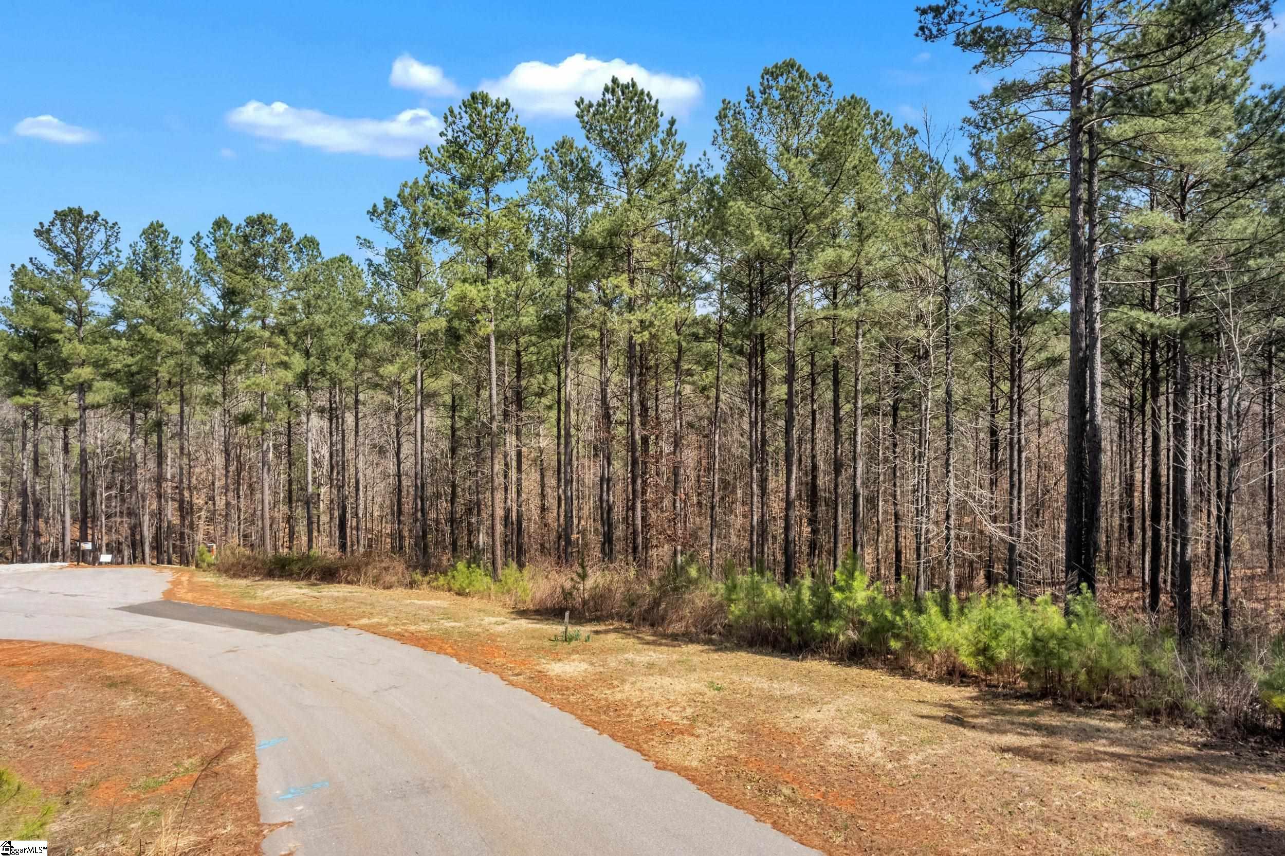 0 High Hampton Road, Unit LOT 37 HIGHLAND SHORES AT KEOWEE Salem, SC 29676 - Photo 19 of 27