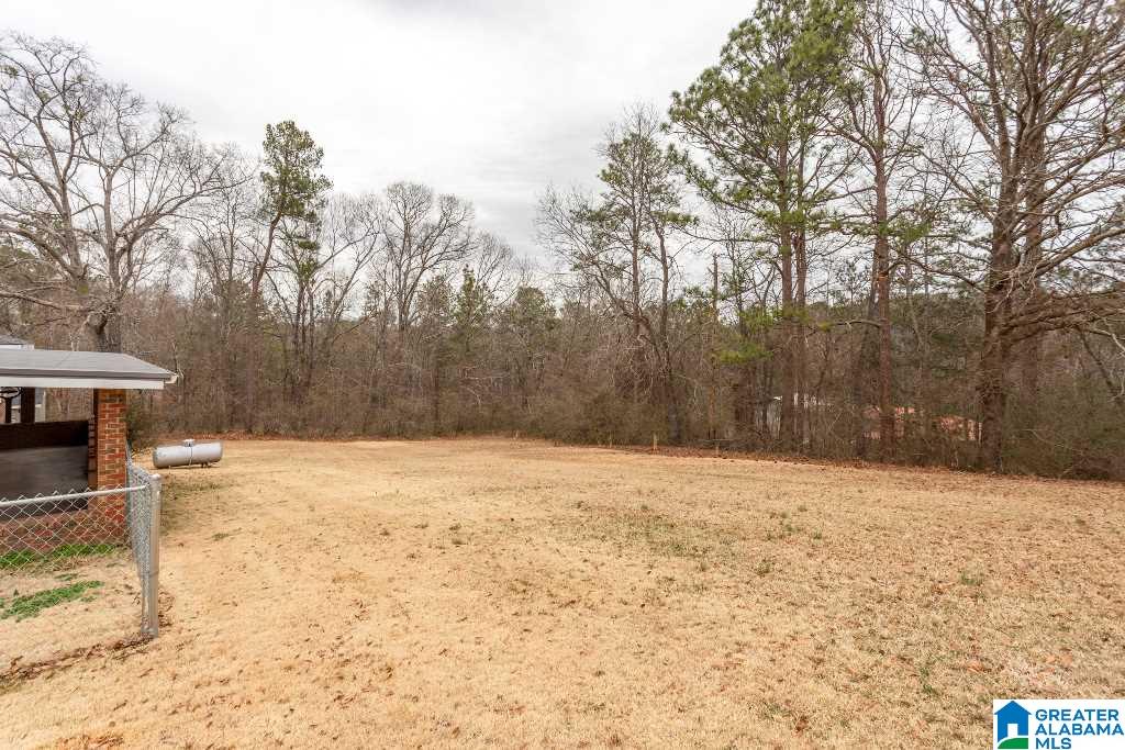 1181 Mountain View Road Talladega, AL 35160 - Photo 35 of 38
